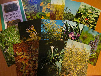Отдается в дар набор открыток «Зеленая аптека»