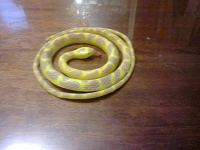 Отдается в дар Резиновая желтая змейка