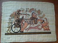 Отдается в дар Папирусы из Египта