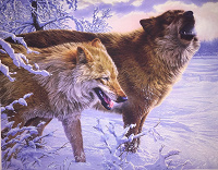 Отдается в дар постер картина на холсте волки