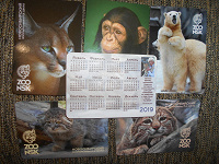 Отдается в дар Календарики Новосибирского зоопарка
