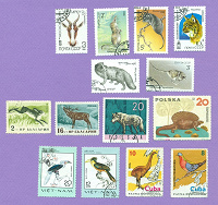 Отдается в дар Почтовые марки, фауна