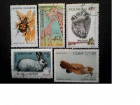 Отдается в дар Фауна на почтовых марках всего мира.