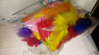 Отдается в дар Разноцветные перья