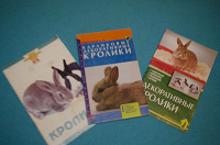 Отдается в дар Книги про кроликов