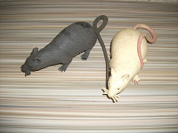 Отдается в дар Резиновые крысы
