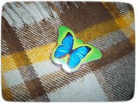 Отдается в дар Полотенце сувенирное, бабочка.