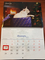 Отдается в дар Календарь на 2019 г. С кошками