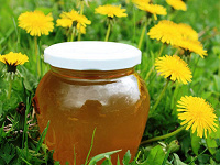 Отдается в дар Одуванчиковый мед(варенье, сироп)