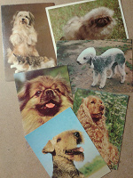 Отдается в дар открытки с животными