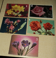 Отдается в дар СССР открытки — цветы