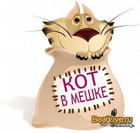 Отдается в дар Женский котик с одеждой