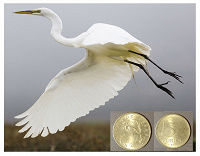 Отдается в дар Монета 5 форинт, 2007, Венгрия