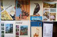 Отдается в дар Открытки — Природа