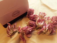 Отдается в дар Бутоны тюльпанов