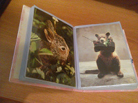 Отдается в дар Фотоальбом с открытками животных