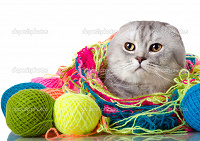 Отдается в дар Котик рукодельный