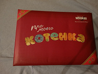 Отдается в дар Альбом про моего котёнка