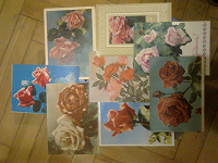 Отдается в дар открытки «Розы», 8 шт, CCCР