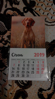 Отдается в дар Календарь на магните 2019 год.