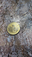 Отдается в дар 10 рублевая монета