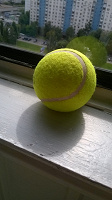 Отдается в дар теннисный мяч