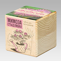 Отдается в дар Экокуб