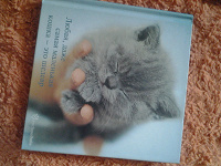 Отдается в дар книжка с цитатами про кошек