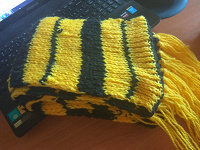 Отдается в дар Пчелиный шарф