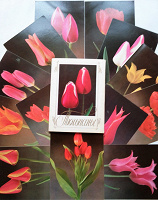 Отдается в дар Набор открыток любительницам тюльпанов