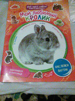 Отдается в дар Детский журнал о кроликах и заботе о них
