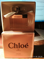 Отдается в дар Chloe
