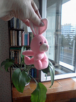 Отдается в дар Розовый кролик?