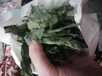 Отдается в дар листья тапинамбура. сушеные. для снижения сахара в крови.
