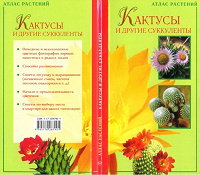 Отдается в дар Кактусы и другие суккуленты
