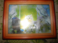 Отдается в дар Картина с кошками в рамке