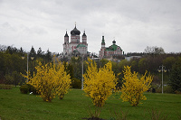 Отдается в дар Фотопрогулка в Феофании