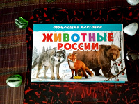 Отдается в дар Обучающие карточки «Животные России»