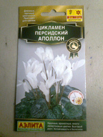 Отдается в дар Цикламен.