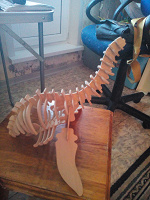 Отдается в дар Деревянные кости динозавров