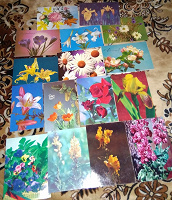 Отдается в дар открытки «цветы»