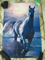 Отдается в дар Плакат с лошадью