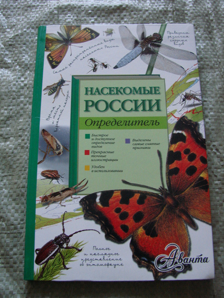 Насекомые определитель в дар (Санкт-Петербург). Дарудар
