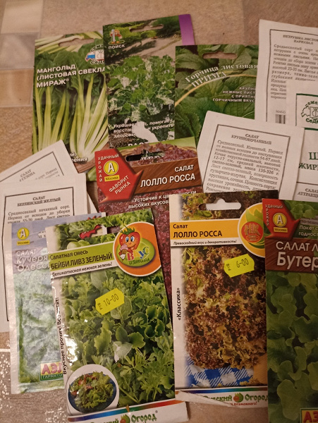 Семена в дар (Москва). Дарудар