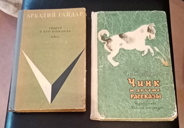 План рассказа чинк в сокращении