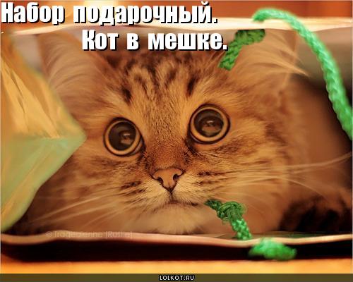 Бижутерийный кот в мешке (Волгоград)