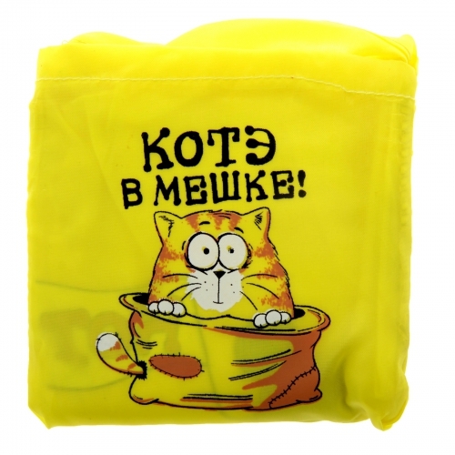 Фразеологизм кот в мешке