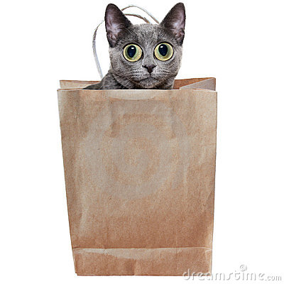 Кот в мешке… разноплановый