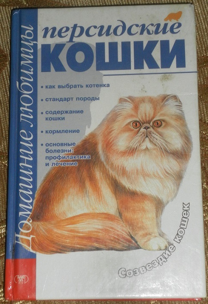 Автора кошки. Кошки в литературе. Шампунь для персидских кошек. Кошки и Писатели.