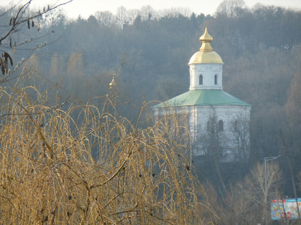 Фото podkovka 